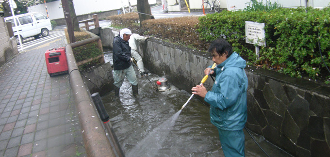 街を流れる洗足流れの河床清掃2